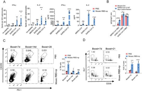 https://cdn.ncbi.nlm.nih.gov/pmc/blobs/d8a0/10916629/08538c4c868d/ADVS-11-2303366-g008.jpg