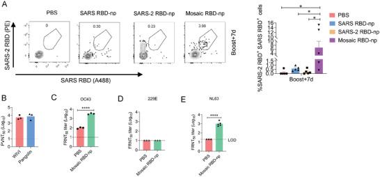 https://cdn.ncbi.nlm.nih.gov/pmc/blobs/d8a0/10916629/18956f400339/ADVS-11-2303366-g003.jpg