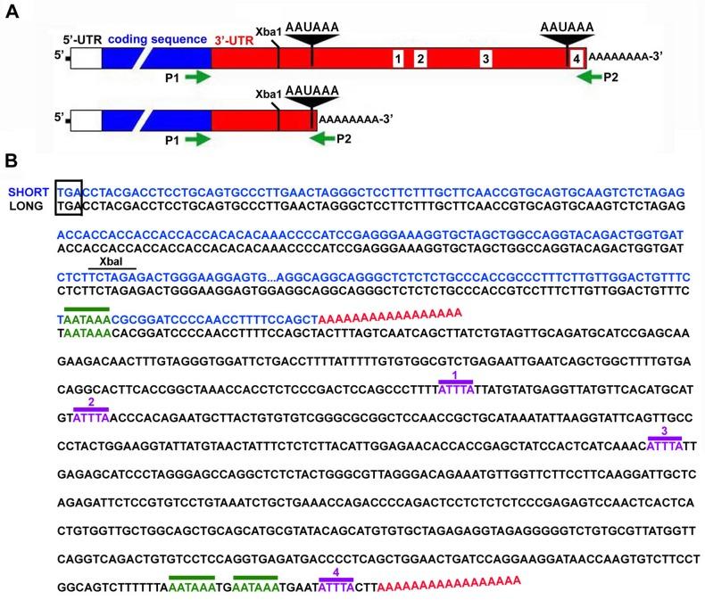 https://cdn.ncbi.nlm.nih.gov/pmc/blobs/d8a2/4353714/8e08f4ce3148/pone.0119539.g002.jpg