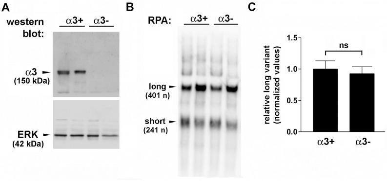 https://cdn.ncbi.nlm.nih.gov/pmc/blobs/d8a2/4353714/ba556d0db095/pone.0119539.g004.jpg
