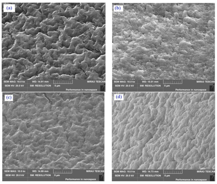 https://cdn.ncbi.nlm.nih.gov/pmc/blobs/d8a2/7792598/fa3f00000f8b/polymers-13-00003-g002.jpg