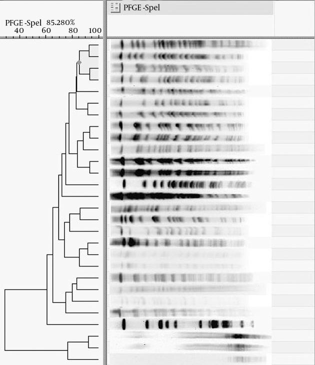 https://cdn.ncbi.nlm.nih.gov/pmc/blobs/d8a4/4584137/7518aaa3e455/jjm-08-07-20980-g002.jpg