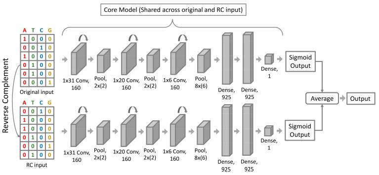 https://cdn.ncbi.nlm.nih.gov/pmc/blobs/d8a5/9026820/a835b8270b70/genes-13-00621-g002.jpg