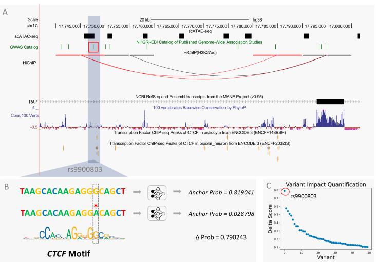 https://cdn.ncbi.nlm.nih.gov/pmc/blobs/d8a5/9026820/c0a6c1545861/genes-13-00621-g006.jpg