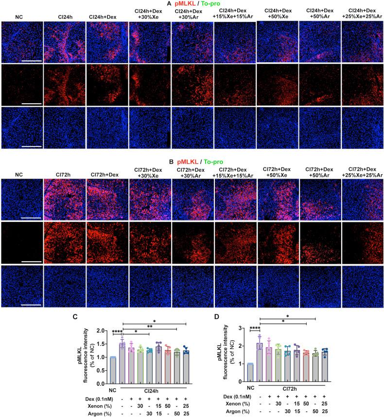 https://cdn.ncbi.nlm.nih.gov/pmc/blobs/d8a6/11239900/27340ca50f8b/41420_2024_2071_Fig3_HTML.jpg