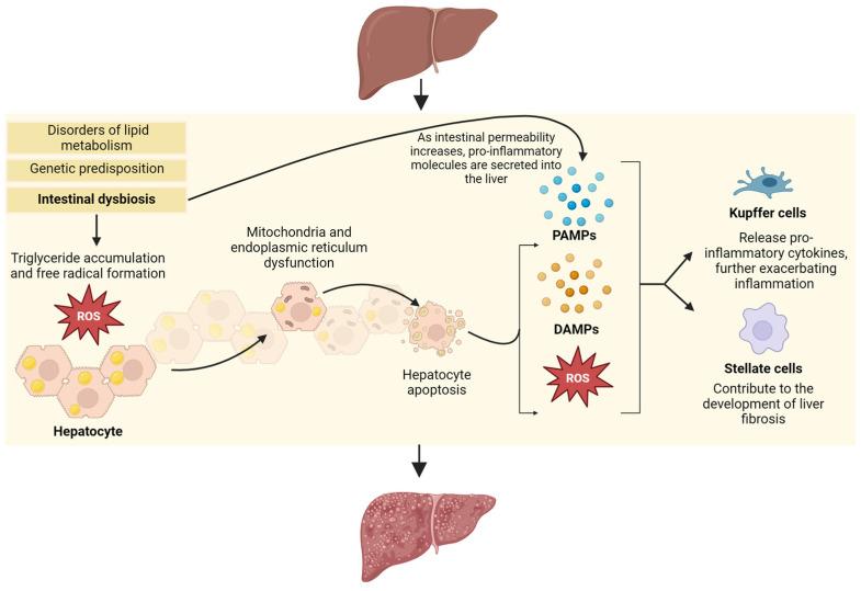 https://cdn.ncbi.nlm.nih.gov/pmc/blobs/d8a7/11175128/683ed7505b6c/nutrients-16-01668-g001.jpg