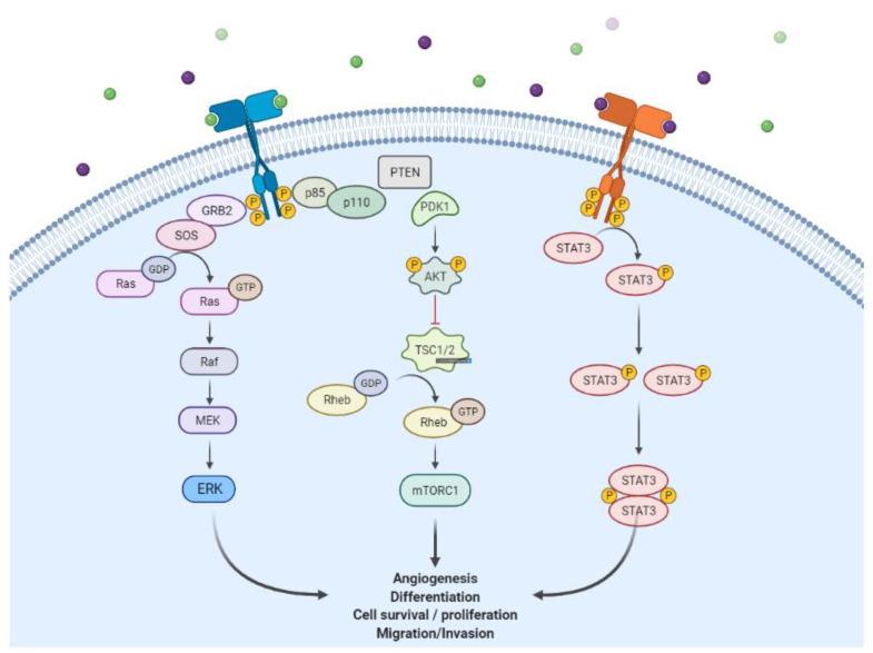 https://cdn.ncbi.nlm.nih.gov/pmc/blobs/d8a7/8838133/bd737c35a02c/molecules-27-00819-g001.jpg