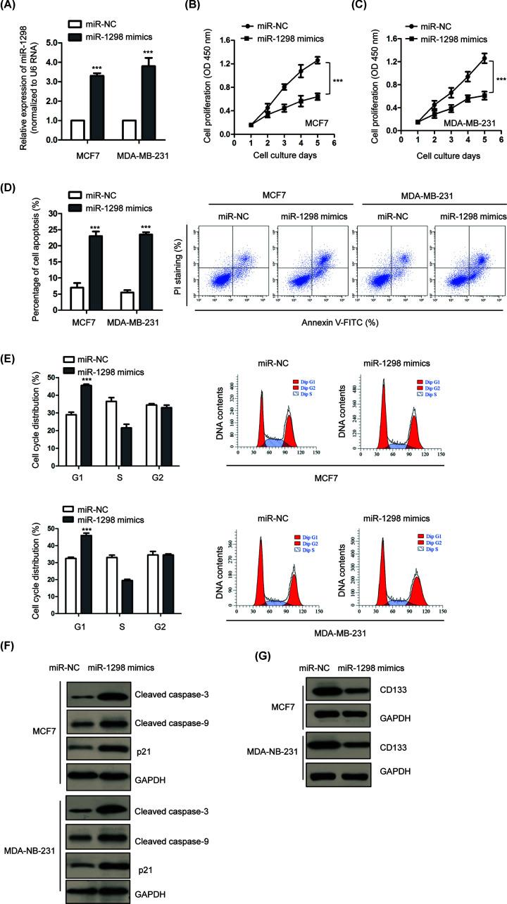 https://cdn.ncbi.nlm.nih.gov/pmc/blobs/d8ab/7729294/d59d1ab5fe4a/bsr-40-bsr20201215-g2.jpg