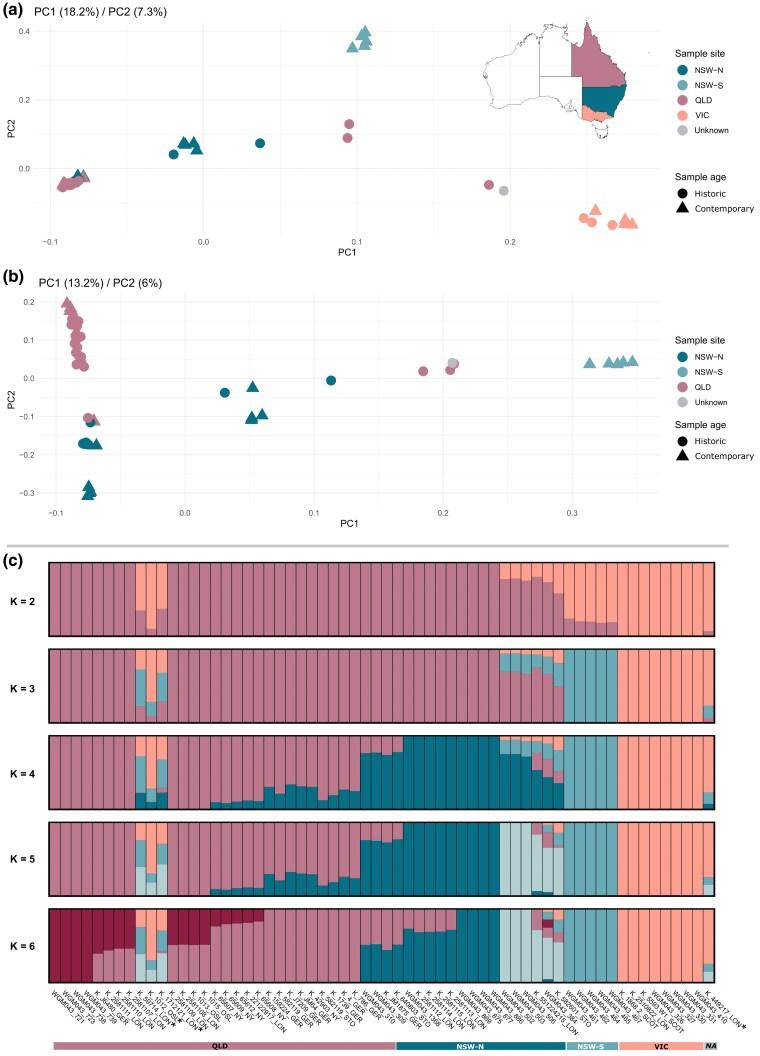 https://cdn.ncbi.nlm.nih.gov/pmc/blobs/d8ac/12014528/55d0c089aa91/msaf057f2.jpg