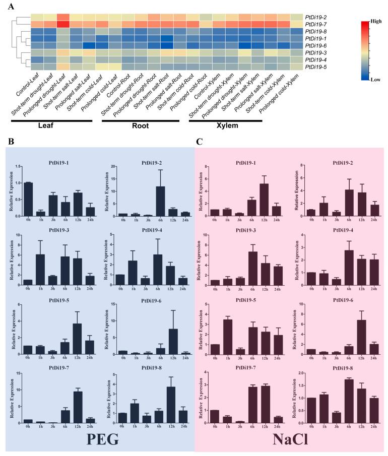 https://cdn.ncbi.nlm.nih.gov/pmc/blobs/d8ac/8954995/3240b63f5562/ijms-23-03371-g003.jpg