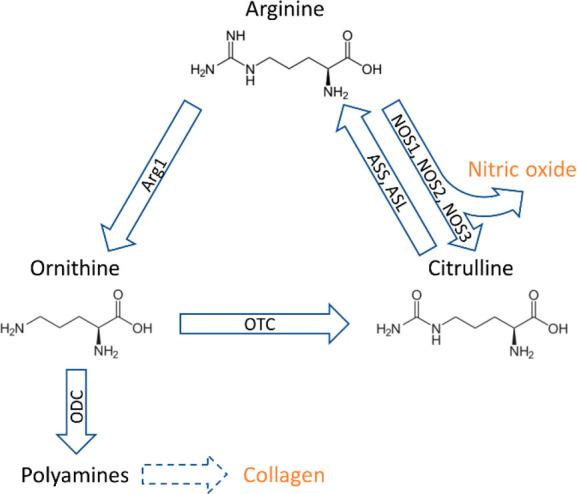 https://cdn.ncbi.nlm.nih.gov/pmc/blobs/d8ae/11157653/73ce8d291b9c/js4c00028_0001.jpg