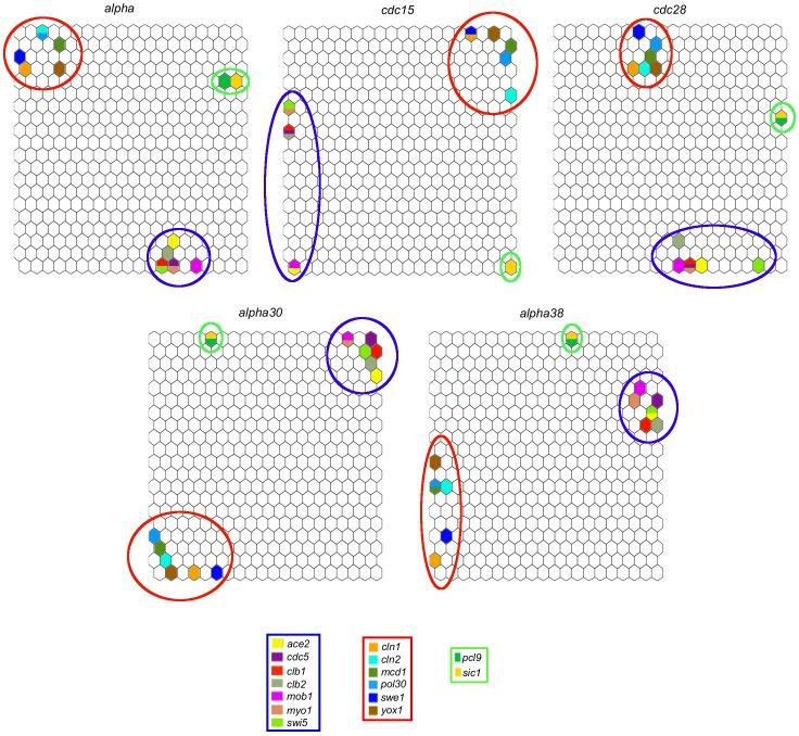 https://cdn.ncbi.nlm.nih.gov/pmc/blobs/d8ae/3974722/16ccb523a8e6/pone.0093233.g006.jpg