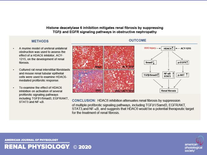 https://cdn.ncbi.nlm.nih.gov/pmc/blobs/d8ae/7792693/a90486306d75/F-00261-2020r01.jpg