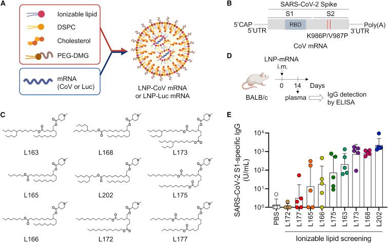 https://cdn.ncbi.nlm.nih.gov/pmc/blobs/d8af/9556917/2959adf968c0/gr1.jpg