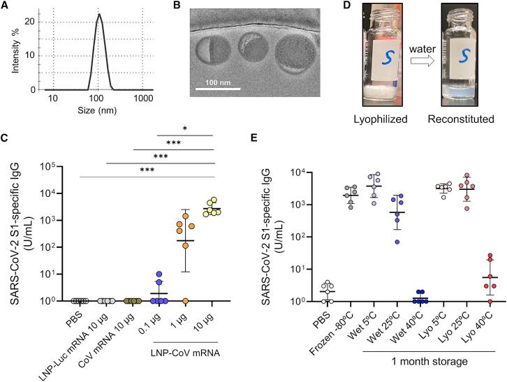 https://cdn.ncbi.nlm.nih.gov/pmc/blobs/d8af/9556917/31b6fbce2c5e/gr2.jpg