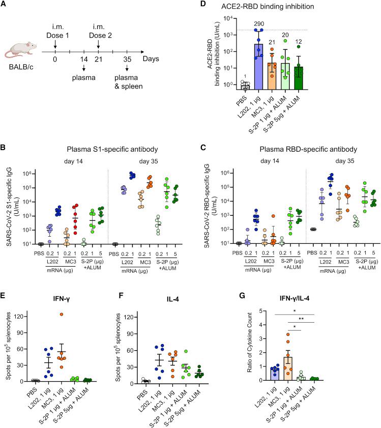 https://cdn.ncbi.nlm.nih.gov/pmc/blobs/d8af/9556917/af994ea05277/gr4.jpg
