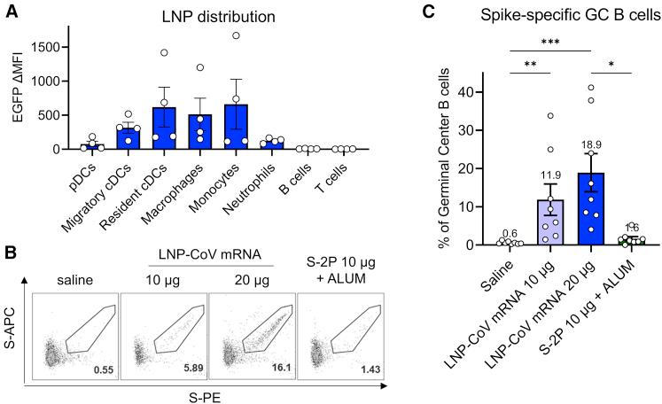 https://cdn.ncbi.nlm.nih.gov/pmc/blobs/d8af/9556917/cfbffda19b59/gr5.jpg
