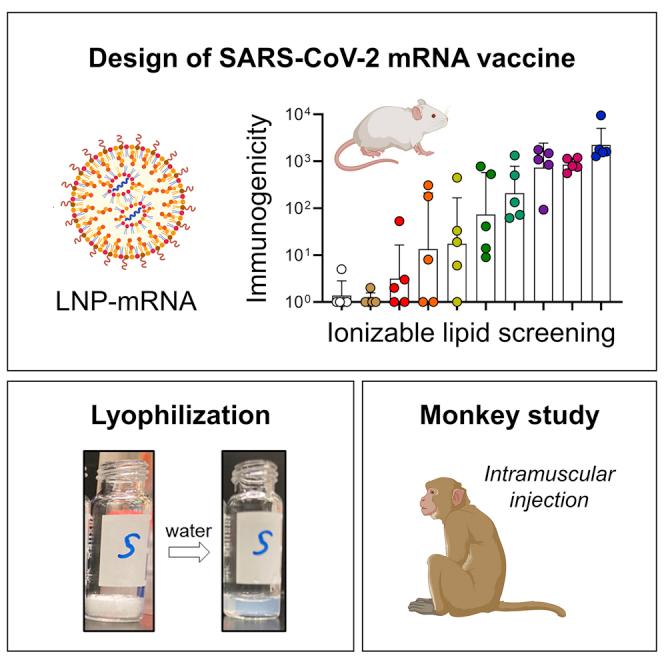 https://cdn.ncbi.nlm.nih.gov/pmc/blobs/d8af/9556917/eccc2cef6d39/fx1.jpg