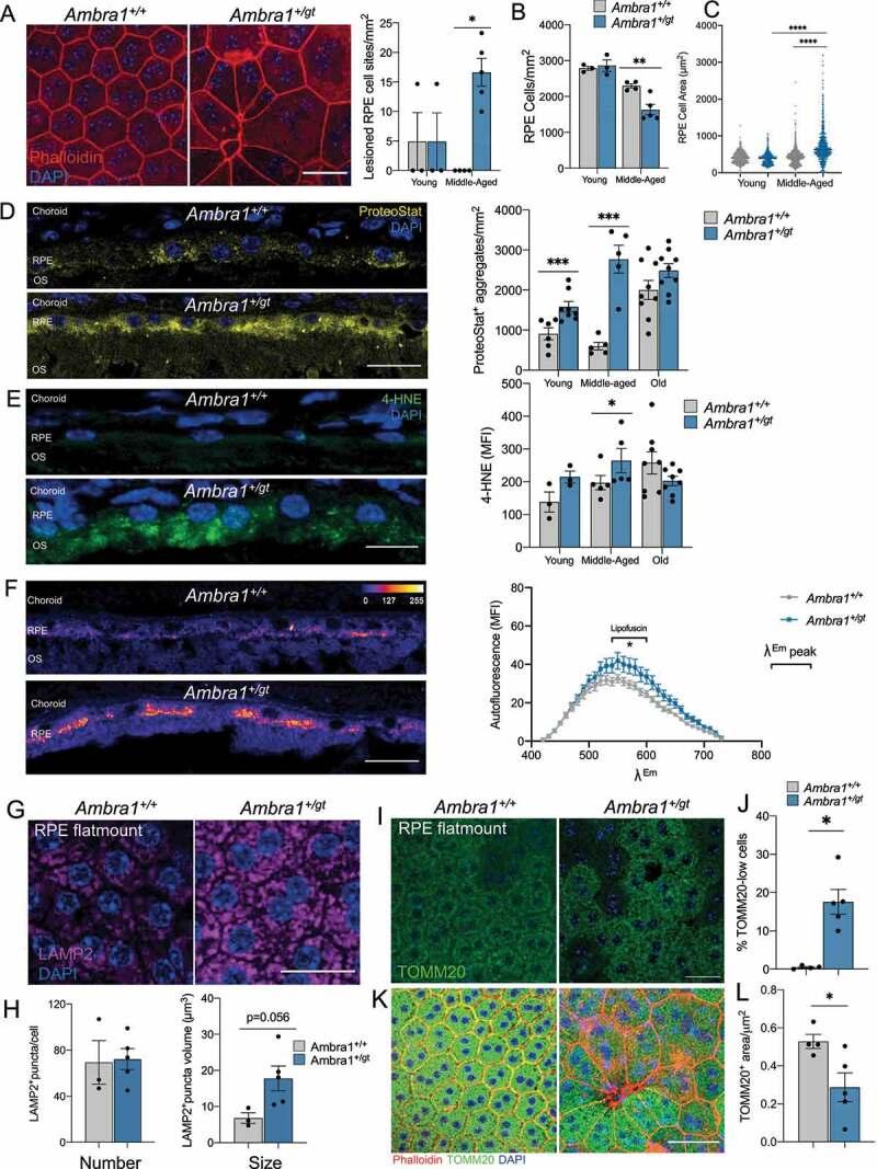 https://cdn.ncbi.nlm.nih.gov/pmc/blobs/d8b0/9980615/172ce5fad4e8/KAUP_A_2103307_F0007_OC.jpg