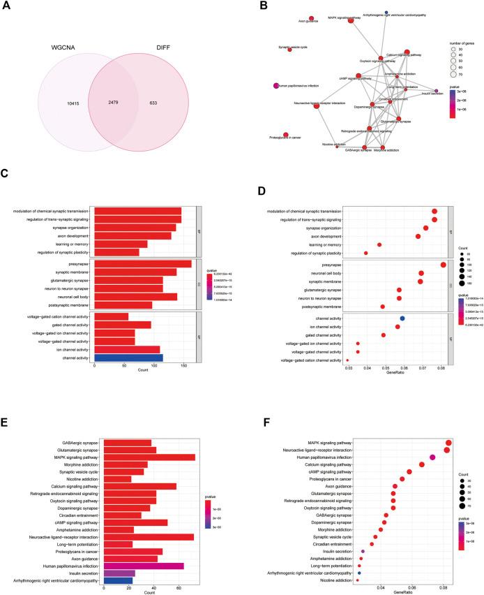 https://cdn.ncbi.nlm.nih.gov/pmc/blobs/d8b1/9727555/0e237ea2e12b/fphar-13-1076958-g005.jpg