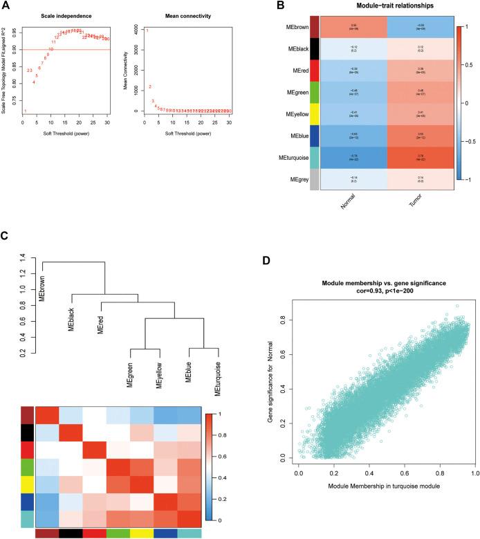 https://cdn.ncbi.nlm.nih.gov/pmc/blobs/d8b1/9727555/a2524f4e829e/fphar-13-1076958-g004.jpg