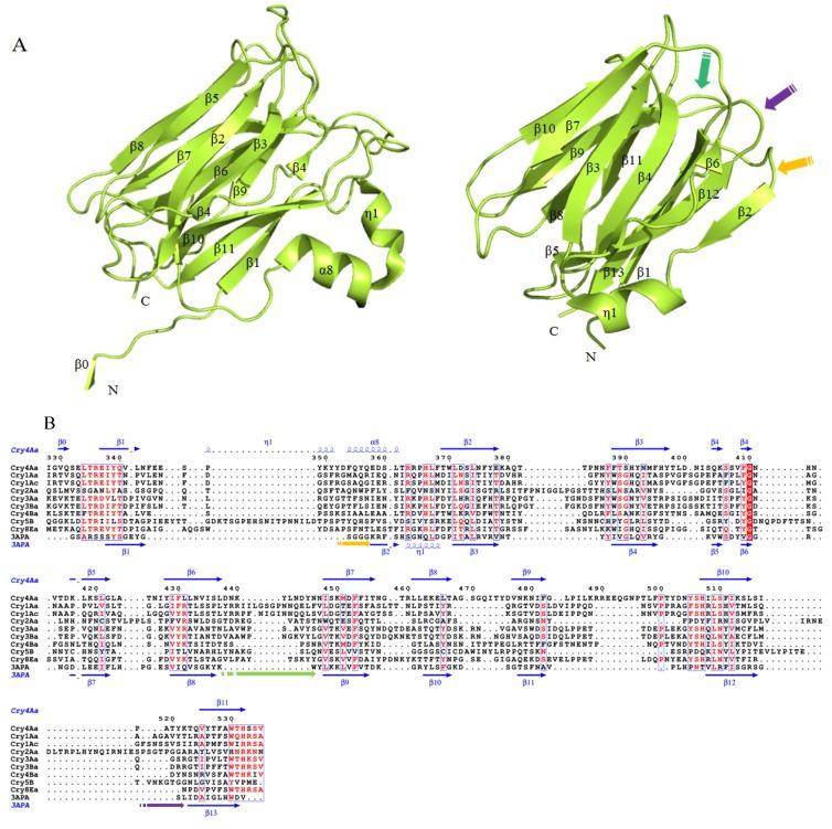 https://cdn.ncbi.nlm.nih.gov/pmc/blobs/d8b2/4179158/ceb44a87b2a4/toxins-06-02732-g003.jpg