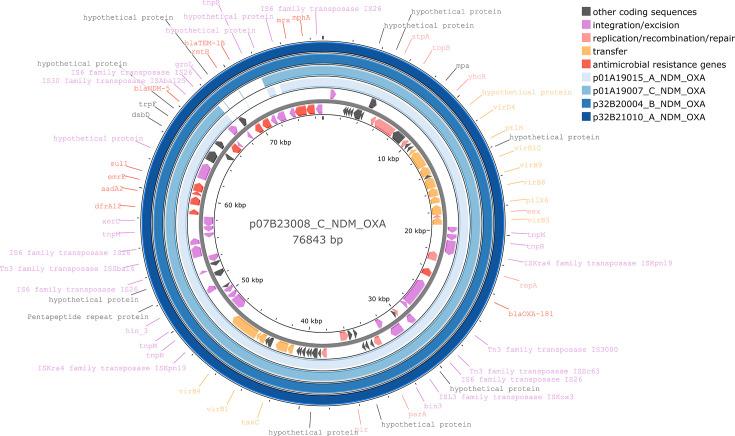 https://cdn.ncbi.nlm.nih.gov/pmc/blobs/d8b3/12321488/2e5b75bdbe01/mgen-11-01415-g006.jpg