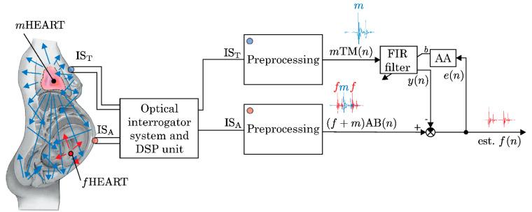 https://cdn.ncbi.nlm.nih.gov/pmc/blobs/d8b4/11436206/e6e1d4b2d2ca/sensors-24-06066-g004.jpg