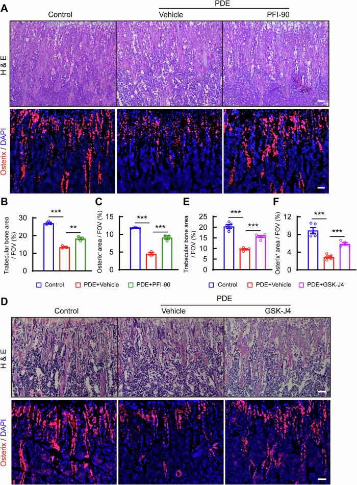 https://cdn.ncbi.nlm.nih.gov/pmc/blobs/d8b5/11604782/044292ee5281/42003_2024_7288_Fig8_HTML.jpg