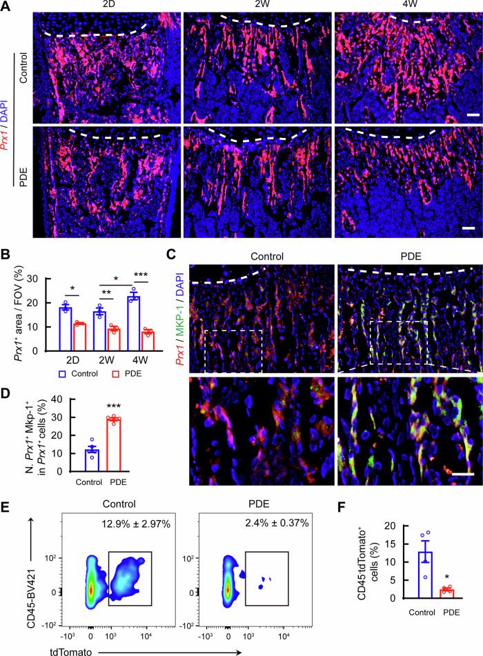 https://cdn.ncbi.nlm.nih.gov/pmc/blobs/d8b5/11604782/6d77af38f631/42003_2024_7288_Fig5_HTML.jpg