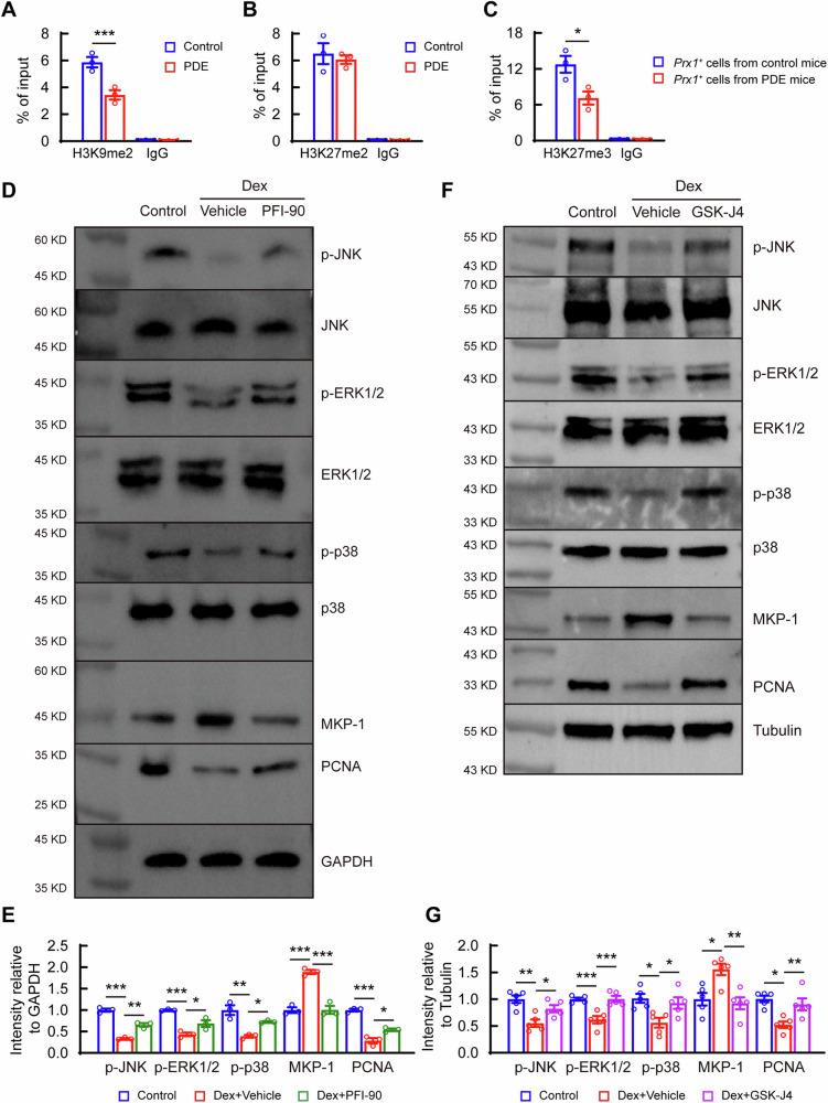 https://cdn.ncbi.nlm.nih.gov/pmc/blobs/d8b5/11604782/99efedc22b78/42003_2024_7288_Fig7_HTML.jpg