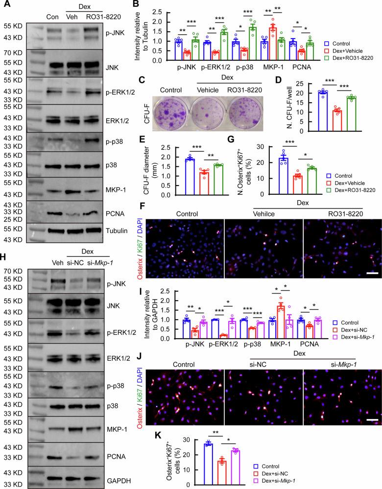 https://cdn.ncbi.nlm.nih.gov/pmc/blobs/d8b5/11604782/a4a255f63063/42003_2024_7288_Fig4_HTML.jpg