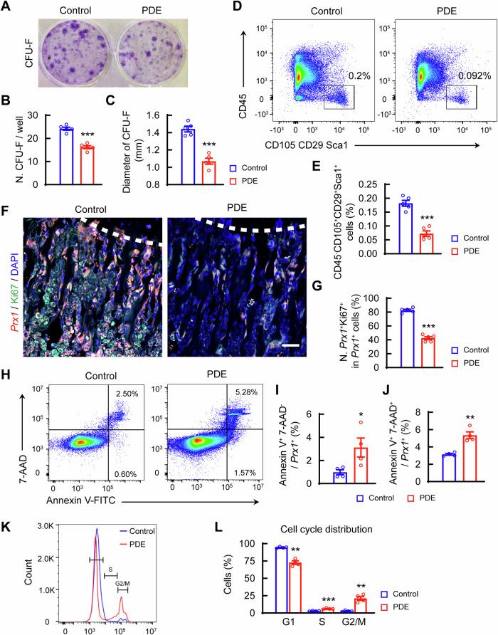 https://cdn.ncbi.nlm.nih.gov/pmc/blobs/d8b5/11604782/d5348217df46/42003_2024_7288_Fig2_HTML.jpg