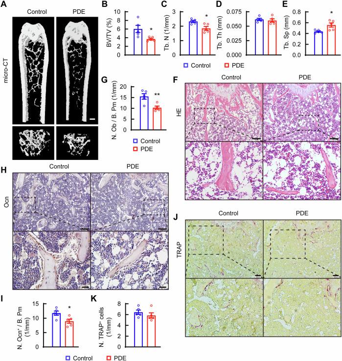 https://cdn.ncbi.nlm.nih.gov/pmc/blobs/d8b5/11604782/ddbeb0cd9c88/42003_2024_7288_Fig1_HTML.jpg
