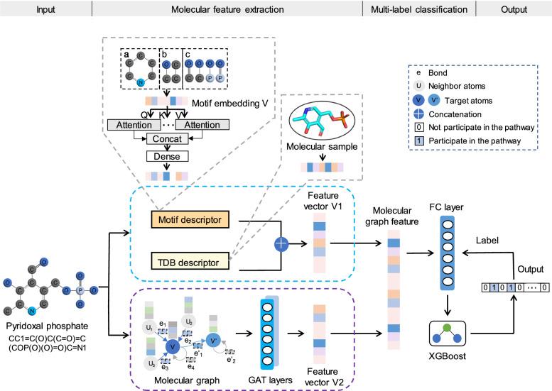 https://cdn.ncbi.nlm.nih.gov/pmc/blobs/d8b5/12013036/bb10435109ce/13321_2025_994_Fig1_HTML.jpg