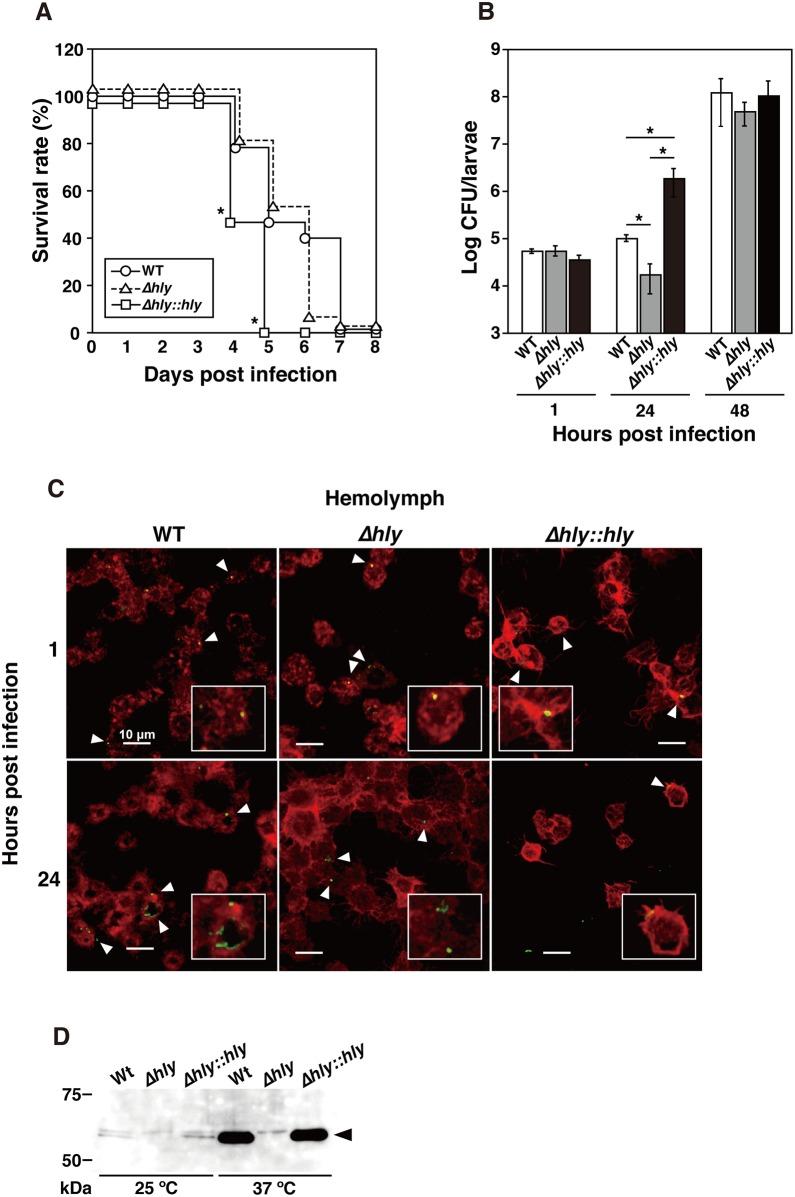 https://cdn.ncbi.nlm.nih.gov/pmc/blobs/d8b7/5036829/e4cd45b65b70/pone.0163747.g001.jpg