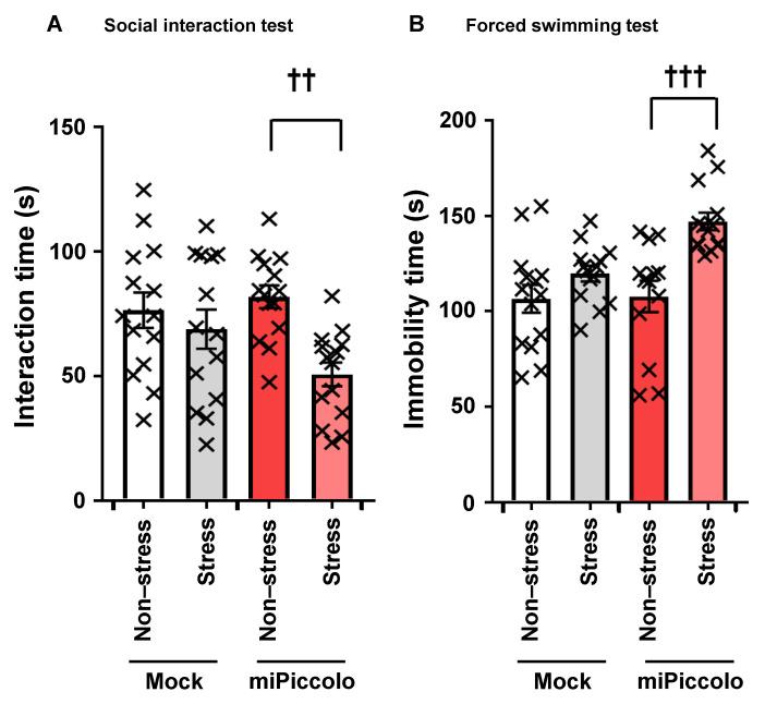 https://cdn.ncbi.nlm.nih.gov/pmc/blobs/d8b8/8304324/23493f3a3f14/jpm-11-00607-g005.jpg