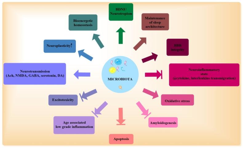 https://cdn.ncbi.nlm.nih.gov/pmc/blobs/d8b9/8147174/2622b4e3ed99/biomolecules-11-00678-g002.jpg