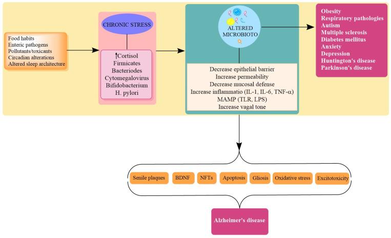 https://cdn.ncbi.nlm.nih.gov/pmc/blobs/d8b9/8147174/45e11706443e/biomolecules-11-00678-g003.jpg
