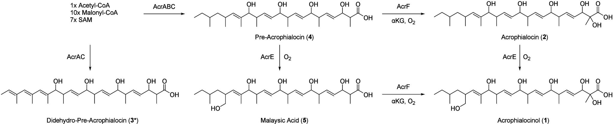 https://cdn.ncbi.nlm.nih.gov/pmc/blobs/d8ba/11791885/15077346abde/ol4c04656_0004.jpg