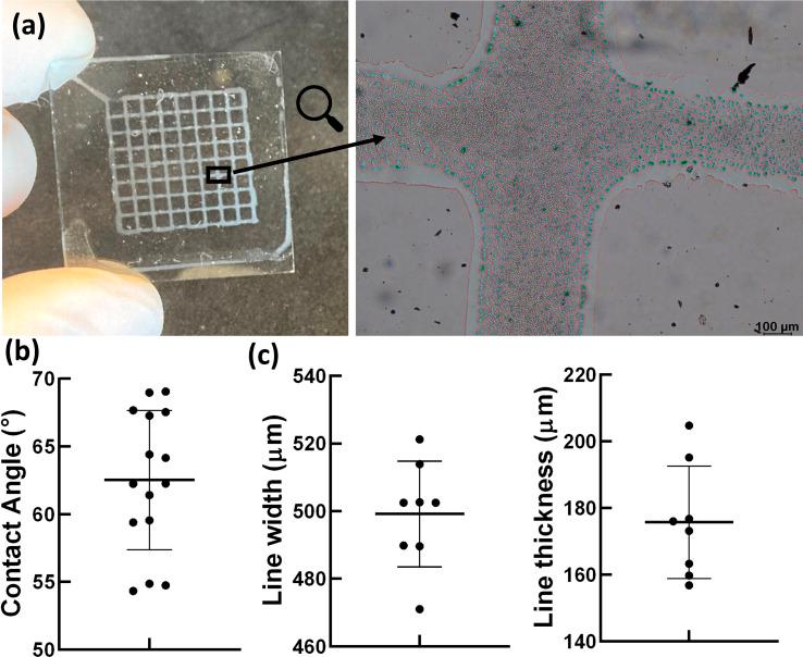 https://cdn.ncbi.nlm.nih.gov/pmc/blobs/d8bc/11248567/296efafa6124/d4ra02830a-f4.jpg