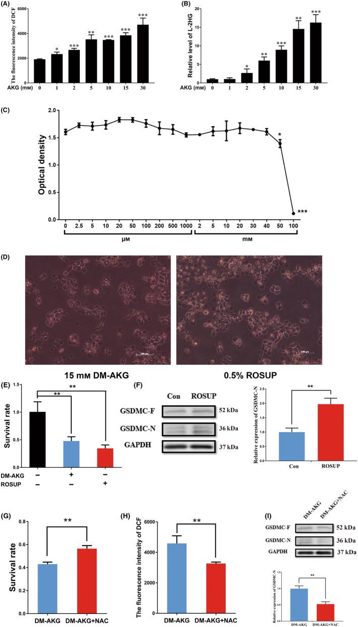 https://cdn.ncbi.nlm.nih.gov/pmc/blobs/d8bd/10392054/588fce5bf54c/FEB4-13-1522-g001.jpg