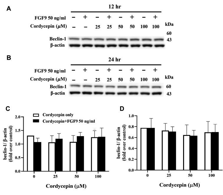 https://cdn.ncbi.nlm.nih.gov/pmc/blobs/d8bd/11534034/8241583e391d/cgp-21-640-g0001.jpg