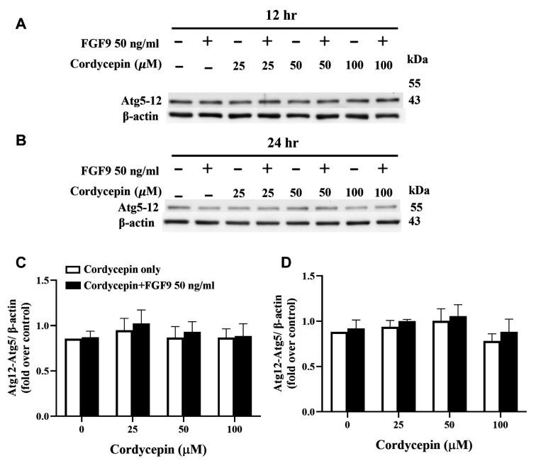https://cdn.ncbi.nlm.nih.gov/pmc/blobs/d8bd/11534034/fdb5c55e5804/cgp-21-639-g0001.jpg