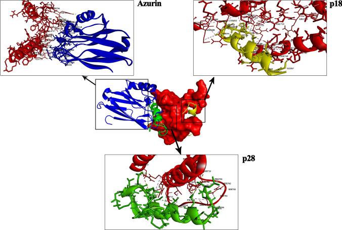 https://cdn.ncbi.nlm.nih.gov/pmc/blobs/d8bd/7877518/5150d0dddcf7/11030_2021_10193_Fig2_HTML.jpg