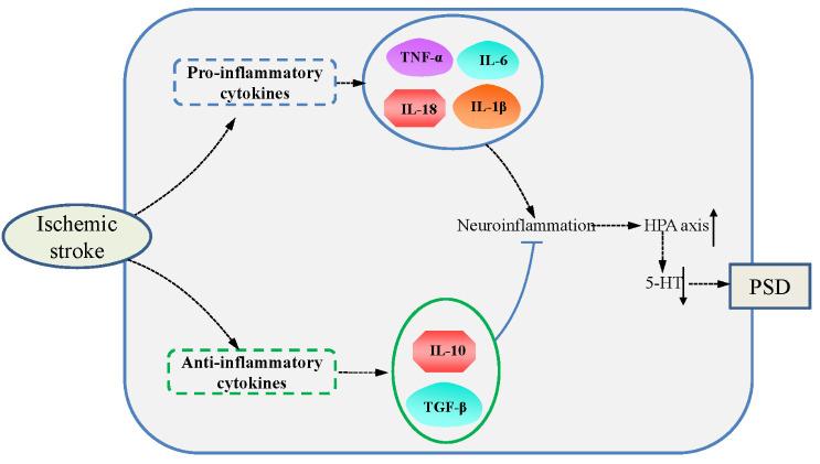 https://cdn.ncbi.nlm.nih.gov/pmc/blobs/d8bf/11745440/f6bf178a01c1/AD-16-1-394-g1.jpg