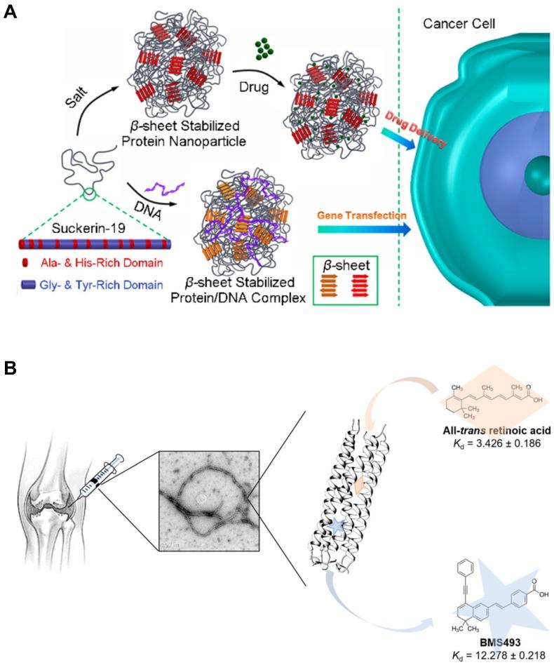 https://cdn.ncbi.nlm.nih.gov/pmc/blobs/d8bf/6567962/fda411fc074a/thnov09p3191g007.jpg