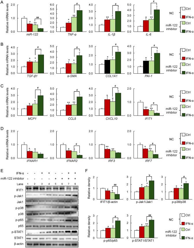 https://cdn.ncbi.nlm.nih.gov/pmc/blobs/d8c0/11778391/242fbdac1b10/72_EJ24-0317_4.jpg