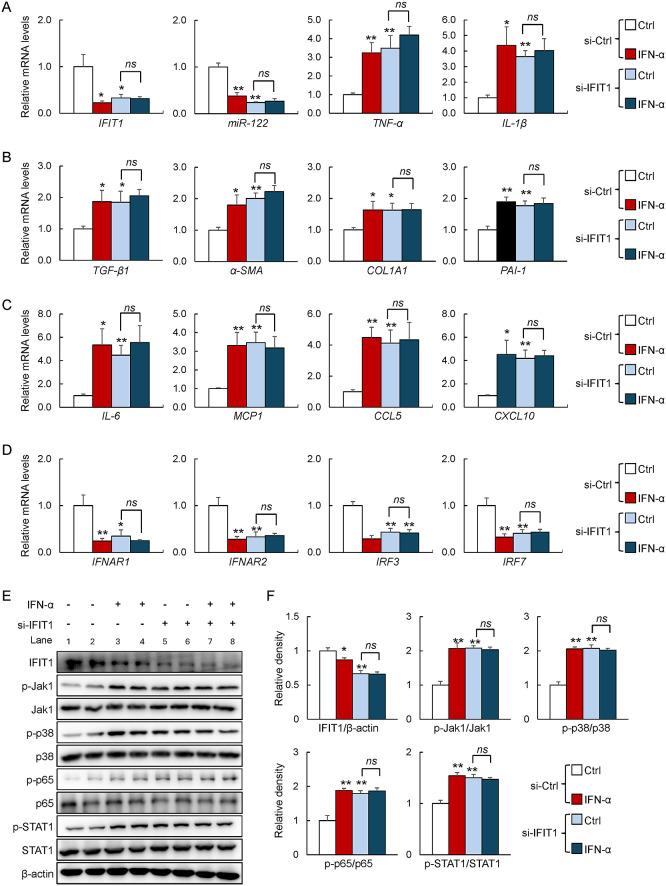 https://cdn.ncbi.nlm.nih.gov/pmc/blobs/d8c0/11778391/e291f1aa0941/72_EJ24-0317_5.jpg
