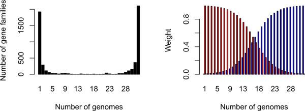 https://cdn.ncbi.nlm.nih.gov/pmc/blobs/d8c3/2928237/bd71d83c9218/1471-2148-10-249-8.jpg